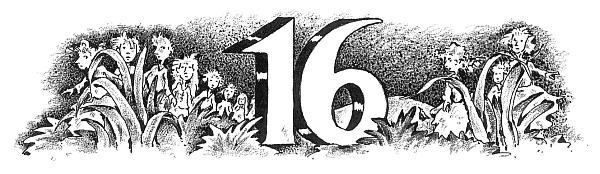 Иллюстрация к книге — Потилла [i_025.jpg]