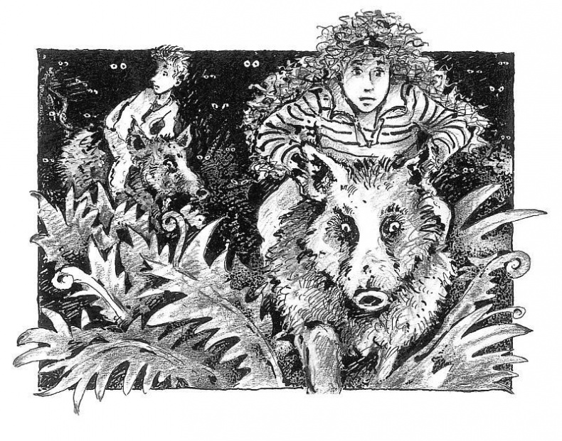 Иллюстрация к книге — Потилла [i_026.jpg]