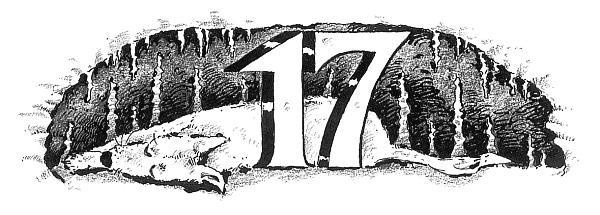 Иллюстрация к книге — Потилла [i_027.jpg]