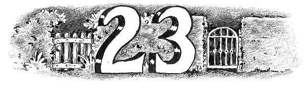 Иллюстрация к книге — Потилла [i_037.jpg]