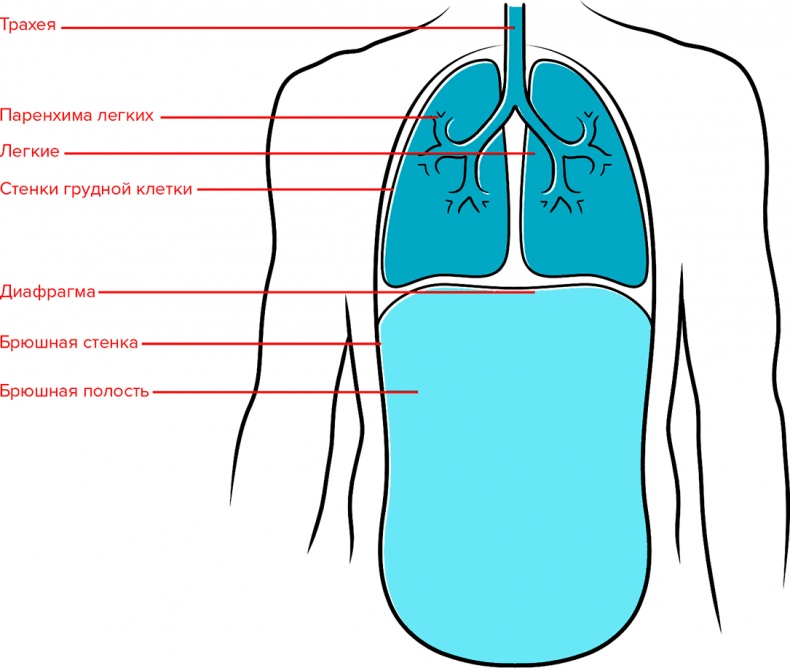 Иллюстрация к книге — Голос [i_010.jpg]