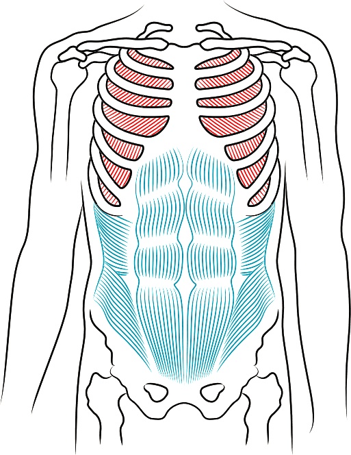 Иллюстрация к книге — Голос [i_012.jpg]