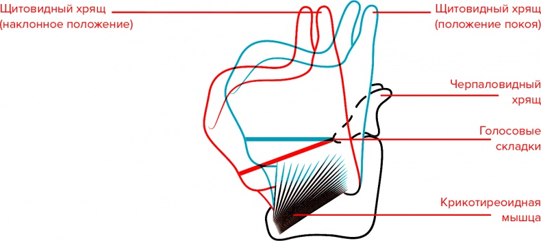 Иллюстрация к книге — Голос [i_014.jpg]