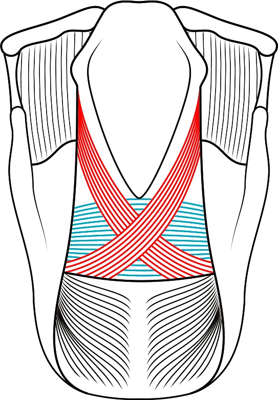 Иллюстрация к книге — Голос [i_017.jpg]