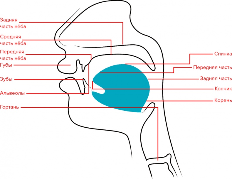 Иллюстрация к книге — Голос [i_023.jpg]