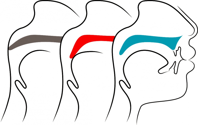 Иллюстрация к книге — Голос [i_054.jpg]