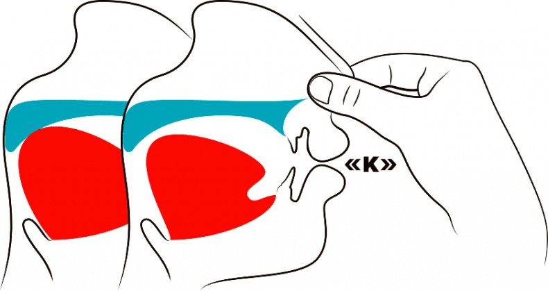 Иллюстрация к книге — Голос [i_055.jpg]
