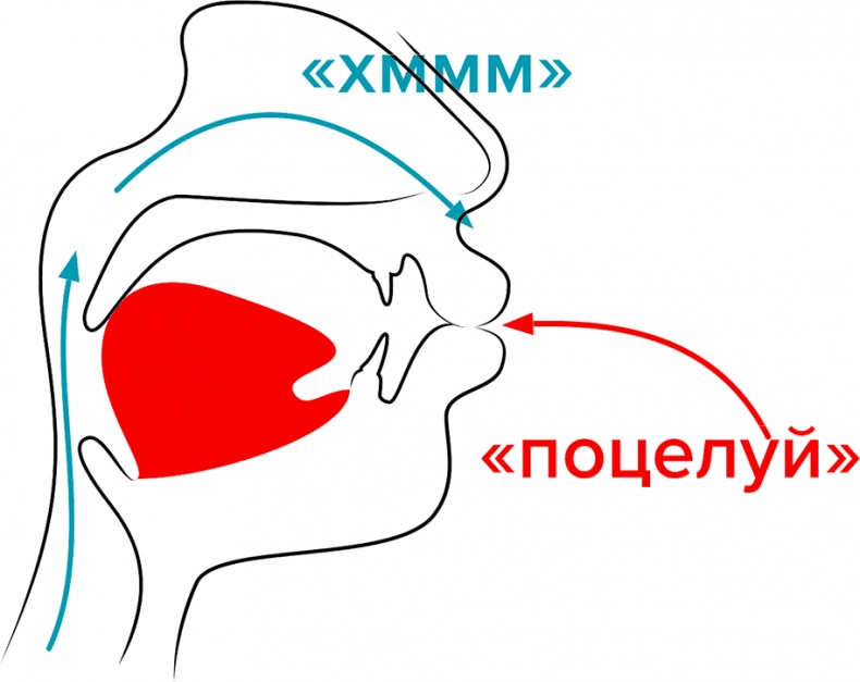Иллюстрация к книге — Голос [i_072.jpg]