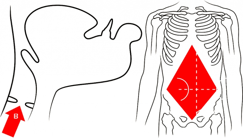 Иллюстрация к книге — Голос [i_099.jpg]