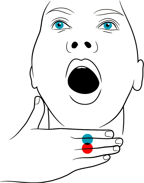 Иллюстрация к книге — Голос [i_103.jpg]