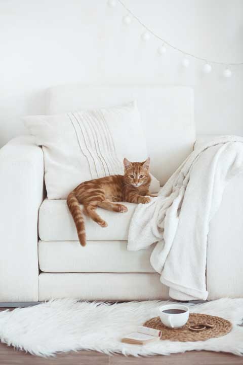 Иллюстрация к книге — Cozy. Искусство всегда и везде чувствовать себя уютно [i_016.jpg]