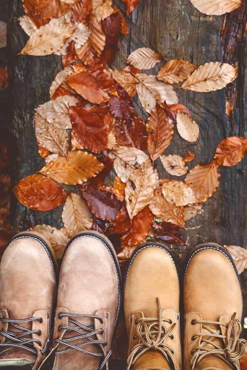 Иллюстрация к книге — Cozy. Искусство всегда и везде чувствовать себя уютно [i_021.jpg]