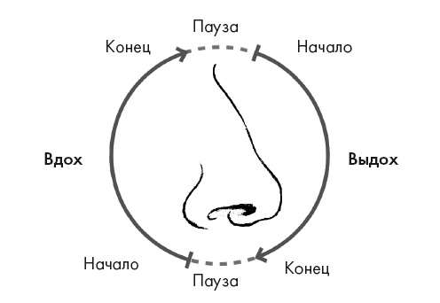 Иллюстрация к книге — Свет ума [i_034.jpg]