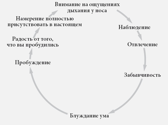 Иллюстрация к книге — Свет ума [i_035.jpg]