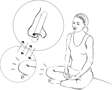 Иллюстрация к книге — Свет ума [i_047.jpg]