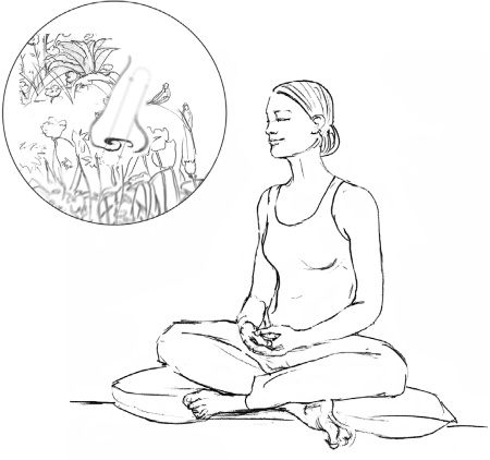 Иллюстрация к книге — Свет ума [i_050.jpg]