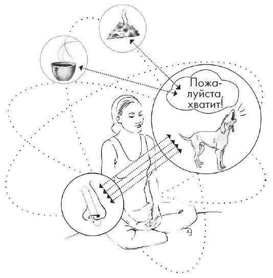 Иллюстрация к книге — Свет ума [i_057.jpg]