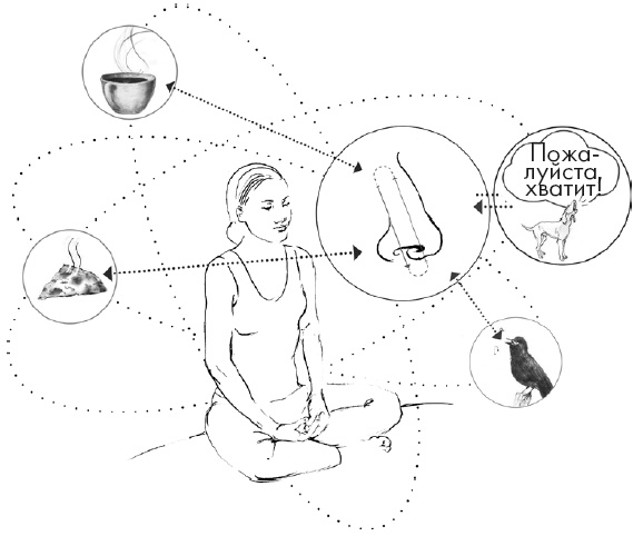 Иллюстрация к книге — Свет ума [i_058.jpg]
