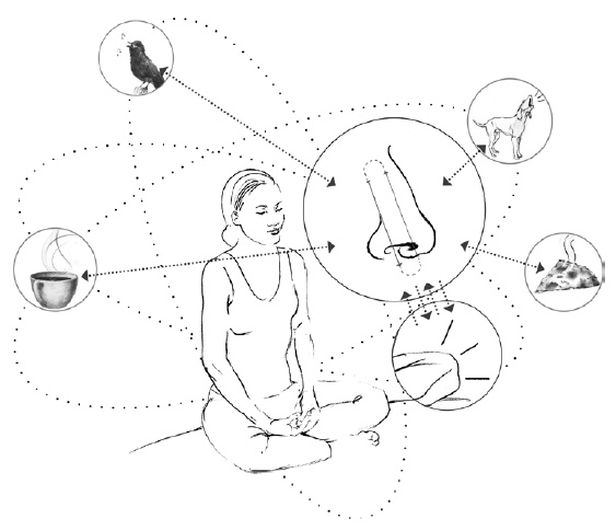 Иллюстрация к книге — Свет ума [i_062.jpg]