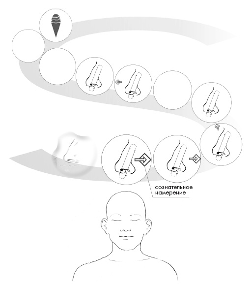 Иллюстрация к книге — Свет ума [i_080.jpg]