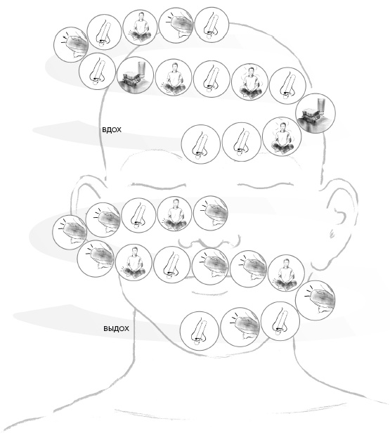 Иллюстрация к книге — Свет ума [i_081.jpg]