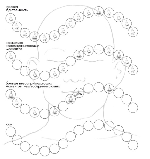 Иллюстрация к книге — Свет ума [i_083.jpg]