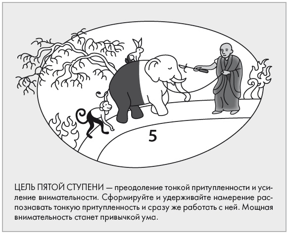 Иллюстрация к книге — Свет ума [i_084.jpg]