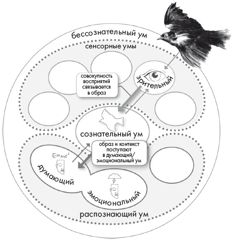 Иллюстрация к книге — Свет ума [i_088.jpg]