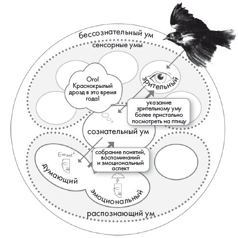Иллюстрация к книге — Свет ума [i_089.jpg]