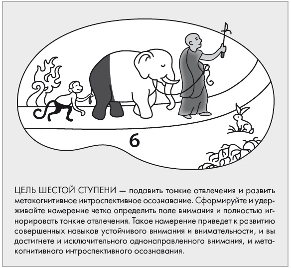 Иллюстрация к книге — Свет ума [i_096.jpg]