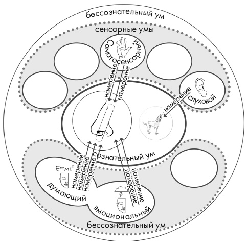 Иллюстрация к книге — Свет ума [i_098.jpg]