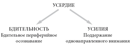 Иллюстрация к книге — Свет ума [i_103.jpg]