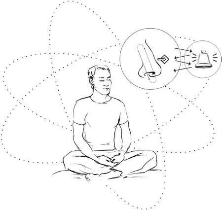 Иллюстрация к книге — Свет ума [i_113.jpg]