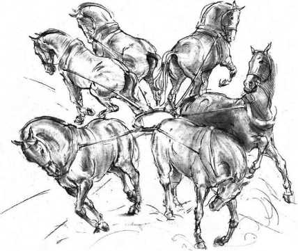 Иллюстрация к книге — Свет ума [i_117.jpg]