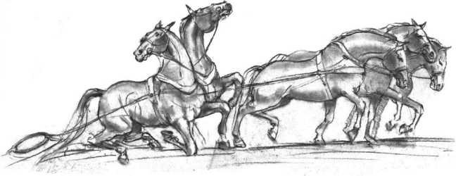 Иллюстрация к книге — Свет ума [i_118.jpg]