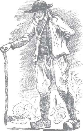 Иллюстрация к книге — Дикий гормон [i_024.jpg]