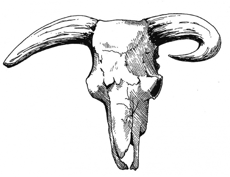 Иллюстрация к книге — Приручение. 10 биологических видов, изменивших мир [i_003.jpg]