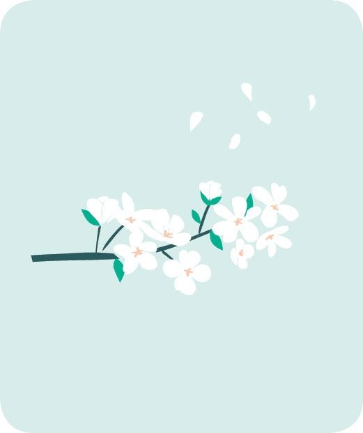 Иллюстрация к книге — Сидзэн. Искусство жить и наслаждаться [i_016.jpg]