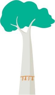 Иллюстрация к книге — Сидзэн. Искусство жить и наслаждаться [i_044.jpg]