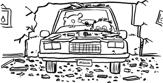 Иллюстрация к книге — Дневник «Эпик Фейл»: допущены ошибки [_005.jpg]