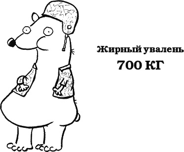 Иллюстрация к книге — Дневник «Эпик Фейл»: допущены ошибки [_123.jpg]