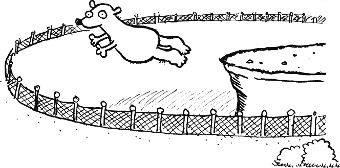 Иллюстрация к книге — Дневник «Эпик Фейл»: допущены ошибки [_271.jpg]