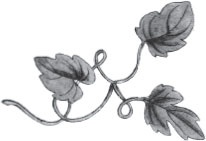 Иллюстрация к книге — Дочь часовых дел мастера [i_001.jpg]