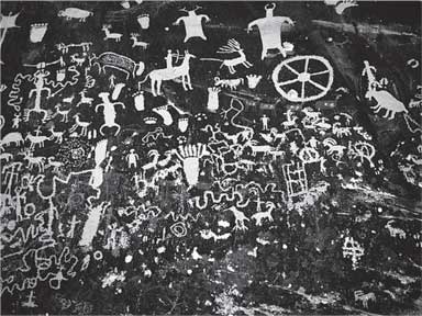 Иллюстрация к книге — Аномалия [i_004.jpg]