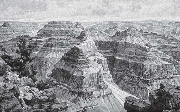 Иллюстрация к книге — Аномалия [i_006.jpg]