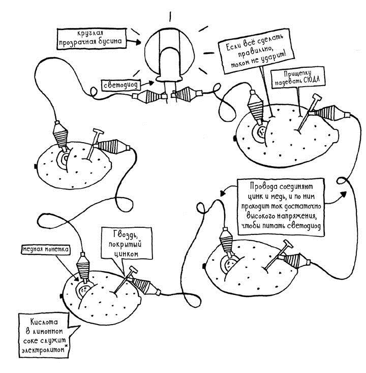 Иллюстрация к книге — Вандербикеры с 141-й улицы [i_010.jpg]