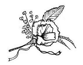 Иллюстрация к книге — Вандербикеры с 141-й улицы [i_013.jpg]