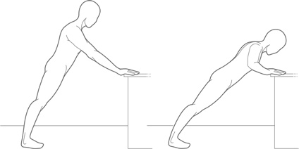 Иллюстрация к книге — Физический интеллект [i_017.jpg]