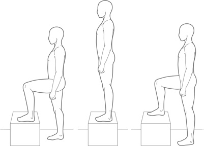 Иллюстрация к книге — Физический интеллект [i_020.jpg]