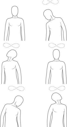 Иллюстрация к книге — Физический интеллект [i_034.jpg]